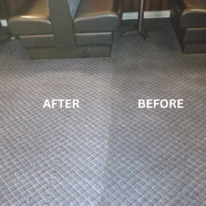 Eco-Friendly, Non-Toxic and Safe Carpet Cleaning