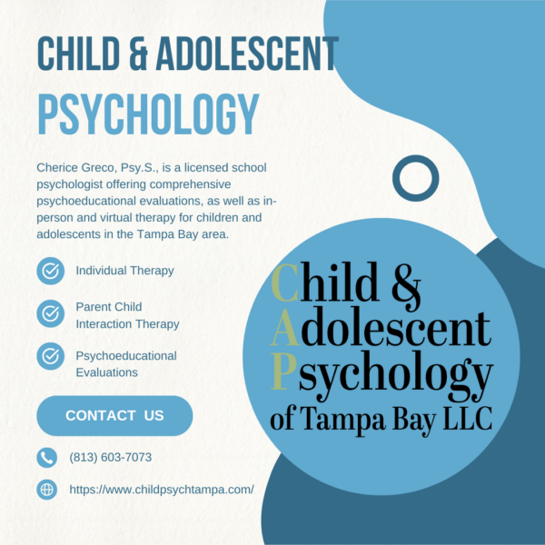 Parent Child Interaction Therapy (PCIT)