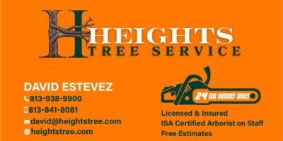 Expert Tree Care